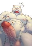  2017 abs alternate_version_available balls big_balls big_pecs big_penis blush circumcised digital_media_(artwork) feline genital_focus hairy_balls looking_down low-angle_view male mammal mixvariety muscular navel nipples nude open_mouth pecs penis penis_focus precum pubes shocked solo sweat tiger vein veiny_penis white_tiger worm&#039;s-eye_view 