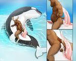  2017 abdominal_bulge animal_genitalia animal_penis anthro anthro_on_feral antlers anus balls bestiality big_dom_small_sub black_skin brown_balls brown_fur bulge butt cervine cetacean cetacean_penis close-up cum cum_in_ass cum_inflation cum_inside cum_on_balls cum_on_penis cum_on_perineum duo erection eyes_closed feral fin fur genital_slit hand_on_stomach hooves horn inflation interspecies larger_male leaking lying male male/male mammal marine moose orca penis penis_size_difference pig_(artist) rear_view sea sitting size_difference slim slit smaller_male smile tapering_penis teeth water whale white_skin 