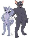  2017 anthro black_fur blue_eyes canine casual_nudity claws digitigrade dog duo eye_contact featureless_crotch flexing fox_(housepets!) fur grey_fur hand_on_hip hand_on_shoulder housepets! male mammal mungo_(housepets!) muscular nude rick_griffin simple_background size_difference white_background 