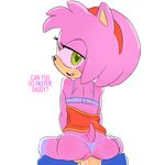  amy_rose bra butt clothing dialogue duo english_text female green_eyes hedgehog male male/female mammal panties panties_aside sex sirdooblie sonic_(series) sonic_the_hedgehog sweat text underwear underwear_aside 