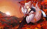 inubashiri_momiji sword tail touhou weapon white_hair wolfgirl 