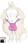  biceps big_bulge bulge cat clothing feline feminine_male fur hands_on_hips male mammal multicolored_fur muscular muscular_arms muscular_male navel open_mouth paws pecs smile tan_fur thick_tail thick_thighs two_tone_fur underwear white_fur wide_hips xatanlion yellow_eyes 