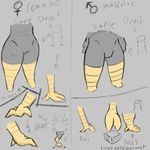  avian bird_feet feathers female guide_lines male simple_background single_cell sketch talons 