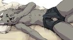  2016 anthro balls bed black_nose blush canine clothed clothing erection erection_under_clothes fur green_eyes grey_fur looking_at_viewer lying male mammal on_side penis pink_penis rokh_(artist) solo topless underwear wolf 