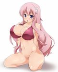  aoinagi baka_to_test_to_shoukanjuu bottomless breasts hair_ornament hairclip himeji_mizuki large_breasts long_hair no_panties pink_hair solo 