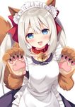  :d animal_ears apron bangs bell bell_collar black_dress blue_eyes blush bow breasts collar commentary_request cosplay dress eyebrows_visible_through_hair fate/grand_order fate_(series) fox_ears fox_tail frilled_apron frills gloves hair_bow hands_up jingle_bell long_hair looking_at_viewer maid maid_headdress marie_antoinette_(fate/grand_order) medium_breasts open_mouth paw_gloves paw_pose paws red_bow shiny shiny_hair sidelocks silver_hair simple_background smile solo sumisaki_yuzuna tail tamamo_(fate)_(all) tamamo_cat_(fate) tamamo_cat_(fate)_(cosplay) tareme twintails upper_body white_background 