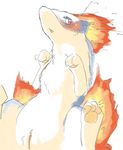  3_toes blush female fire hindpaw nintendo nude pawpads paws plain_background pok&#233;mon pokemon pussy quilava red_eyes solo spreading toes unknown_artist video_games white_background 