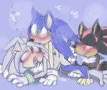  darkshadowvalentine shadow_the_hedgehog silver_the_hedgehog sonic_team sonic_the_hedgehog 