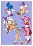  amy_rose cream_the_rabbit rouge_the_bat sonic_team sonic_the_hedgehog tails 