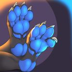  2017 3dinoz 4_toes anthro black_skin blue_skin claws faceless_ambiguous foot_focus foot_shot mammal multicolored_skin plantigrade procyonid raccoon simple_background solo toe_claw toes two_tone_skin 