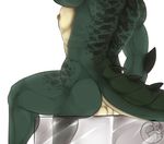  anthro backsack balls butt crocodile crocodilian green_skin male muscular nerton nipples nude reptile scalie sean_kelley simple_background sitting solo spines torso_shot 