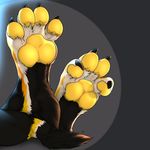  2017 3dinoz 4_toes anthro black_fur canine claws digitigrade faceless_ambiguous foot_focus foot_shot fur mammal markings multicolored_fur pawpads paws socks_(marking) solo toes white_fur wolf yellow_fur 