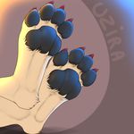  2017 3dinoz 4_toes anthro claws digitigrade faceless_ambiguous feline foot_focus foot_shot fur lion mammal pawpads paws simple_background solo tan_fur toe_claws toes 