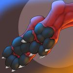  2017 3dinoz 4_toes anthro black_pawpads claws digitigrade dragon faceless_ambiguous foot_focus foot_shot pawpads paws red_skin scalie solo toe_claws toes western_dragon 