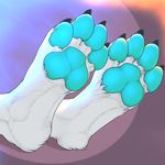  2017 3dinoz 4_toes anthro arctic_wolf artica_sparkle canine claws digitigrade faceless_ambiguous foot_focus foot_shot fur mammal pawpads paws simple_background solo toe_claws toes white_fur wolf 