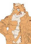  2017 anthro blush feline fur hug human lin_hu male mammal nekojishi r000tmnt size_difference tagme tiger 