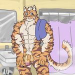  2017 anthro balls feline fur lin_hu male mammal muscular muscular_male nekojishi penis smokeyderg tagme tiger towel vein veiny_penis wet 