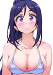  ayumu-k bikini_top blue_hair blush breasts cleavage closed_mouth collarbone commentary_request frown halterneck highres large_breasts long_sleeves looking_at_viewer love_live! love_live!_sunshine!! matsuura_kanan medium_breasts ponytail purple_eyes sidelocks simple_background solo upper_body white_background white_bikini_top 