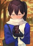  alternate_costume black_gloves brown_eyes brown_hair can commentary gloves hair_between_eyes highres holding holding_can kaga_(kantai_collection) kantai_collection long_hair long_sleeves masukuza_j scarf side_ponytail solo tree white_scarf 
