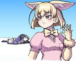  animal_ears black_gloves black_skirt blonde_hair blue_shirt bow bowtie brown_eyes commentary_request common_raccoon_(kemono_friends) fennec_(kemono_friends) fox_ears gloves grey_hair kemono_friends kouson_q multiple_girls pink_shirt pleated_skirt raccoon_ears raccoon_tail shirt short_hair skirt suggestive_fluid tail top-down_bottom-up yellow_gloves yellow_neckwear 