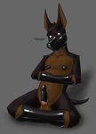  agent_(artist) anthro bdsm bondage bound brown_fur canine dog fur fused male mammal nude penis rubber solo 