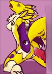  digimon renamon tagme 