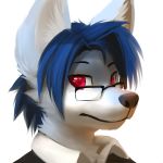  2013 blue_fur blue_hair canine clothed clothing eyewear fur glasses hair headshot icon io_kusanagi looking_at_viewer male mammal red_eyes simple_background solo thanshuhai white_background white_fur 