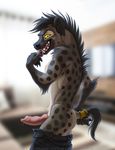  2017 animal_genitalia animal_penis anthro black_fur blurred_background brown_fur clothed clothing erection fur hyena male mammal mostly_nude pants pants_down partially_clothed penis pink_penis precum shinigamigirl solo spots topless white_fur yellow_eyes 