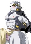  abs anthro balls biceps blush canine clothing erection fur headband horkeukamui kemono loincloth looking_at_viewer male mammal multicolored_fur muscular muscular_male nipples pecs penis pubes q_taro simple_background solo tokyo_afterschool_summoners white_fur wolf 