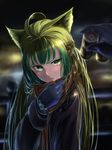  animal_ears archer_of_red fate/apocrypha fate/stay_night mukade_(siieregannsu) 