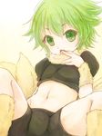  bike_shorts commentary_request coon_(saga_frontier) crop_top finger_licking green_eyes green_hair groin licking looking_at_viewer male_focus open_mouth saga saga_frontier short_hair sm156 solo tail 