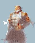  2017 anthro blue_eyes feline fur lin_hu male mammal nekojishi smile solo tagme tiger 