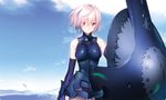  armor bare_shoulders blue_sky blurry breasts cloud cowboy_shot day depth_of_field elbow_gloves eyebrows_visible_through_hair fate/grand_order fate_(series) gloves groin hair_between_eyes leotard light_smile looking_at_viewer mash_kyrielight medium_breasts outdoors pink_hair purple_eyes shield sky solo yangsion 