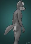  anthro butt canine frostclaw male mammal nintendo nude solo star_fox star_fox_the_animated_series video_games wolf wolf_o&#039;donnell 