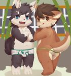  anthro black_fur blue_eyes blush briefs brown_eyes brown_fur bulge butt clothing crossed_arms cub dragon fur furred_dragon looking_back male moki open_mouth scar slightly_chubby thong tongue tongue_out underwear white_fur young 