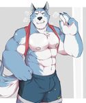  2017 abs anthro biceps canine clothed clothing digital_media_(artwork) fur hi_res kororoman male mammal muscular muscular_male nipples standing wolf 