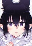  animal_ears bad_id bad_pixiv_id bangs black_hair close-up commentary_request extra_ears eyebrows_visible_through_hair eyes face fingernails hair_between_eyes looking_at_viewer mano_(narumi_arata) narumi_arata original parted_lips pointy_ears portrait purple_eyes scarf short_hair solo white_scarf 