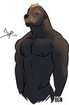  2016 abs anthro bgn biped black_eyes brown_fur brown_hair brown_nipples digital_media_(artwork) eyebrows front_view fur grey_nose hair half-length_portrait looking_at_viewer male mammal marine mendo_(bgn) muscular muscular_male navel nipples nude pecs pinniped portrait sea_lion short_hair signature simple_background smile solo whiskers white_background 