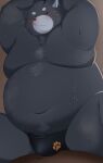 2023 absurd_res anthro belly big_belly black_body blush bodily_fluids brown_body bulge clothing domestic_cat duo felid feline felis hi_res kemono male mammal moobs navel overweight overweight_male simple_background sitting solo solo_focus sweat trail_arnak underwear