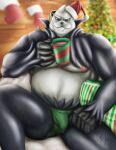 absurd_res anthro bear christmas generation_6_pokemon hi_res holidays male mammal migart89 nintendo pangoro pecs pokemon pokemon_(species) smile solo