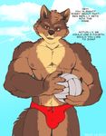  2017 anthro ball black_nose brown_eyes brown_fur bulge canine clothed clothing cloud dog english_text fur looking_at_viewer male mammal muscular nipples open_mouth outside shiuk sky solo standing swimsuit text topless 