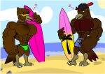 anthro avian beach bird bulge clothing duo kogo male male/male robin_(disambiguation) seaside starling swimming_trunks swimwear