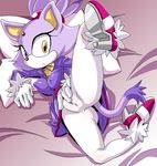  bed blaze_the_cat erect_nipples gold_eyes nipples pillow sega sonic_team sonic_the_hedgehog spread_legs tamagoro tamagoroo_(funifuni_labo) yellow_eyes 