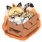  1girl ?? absurdres animal_ears animal_print bangs black_hair box cardboard_box chibi closed_mouth expressionless extra_ears eyebrows_visible_through_hair eyes_visible_through_hair full_body fur_scarf hair_between_eyes head_tilt highres hoyeechun in_box in_container jaguar_(kemono_friends) jaguar_ears jaguar_print jaguar_tail kemono_friends light_brown_hair looking_at_viewer medium_hair multicolored_hair print_neckwear print_skirt scarf shirt sidelocks skirt solo tail tsurime white_hair white_shirt yellow_eyes 