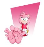 5_toes absurd_res amy_rose benjipaws eulipotyphlan feet female foot_focus fur green_eyes hedgehog hi_res humanoid_feet mammal pink_body pink_fur plantigrade sega smile solo sonic_the_hedgehog_(series) toes