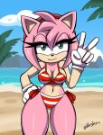 2024 accessory amy_rose anthro artist_name beach big_breasts bikini black_nose breasts camel_toe cleavage clothed clothing cloud detailed_background eulipotyphlan eyelashes female gesture gloves green_eyes hair hair_accessory hairband half-closed_eyes hand_gesture hand_on_hip handwear hedgehog looking_at_viewer mammal midriff narrowed_eyes navel outside palm_tree pink_hair plant renaspyro sand sea sega short_hair sky smile solo sonic_the_hedgehog_(series) standing swimwear thick_thighs tree v_sign water