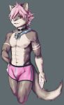 abs anthro blue_hair brown_body brown_fur bulge clothing collar domestic_cat felid feline felis fur girly hair hi_res insaneeighteen maere male male/male mammal pink_clothing pink_hair pink_underwear ponytail red_eyes slightly_muscular solo underwear white_body white_fur