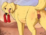 4:3 amber_(scooby-doo) animal_genitalia animal_pussy anus anus_blush bandanna belly_blush blush blush_lines bodily_fluids body_blush butt canid canine canine_genitalia canine_pussy desert female feral floppy_ears fluffy fluffy_tail genitals hanna-barbera hi_res kerchief looking_at_viewer looking_back mammal mountain neck_tuft outside parooty presenting presenting_anus presenting_hindquarters presenting_pussy pussy raised_tail rock saliva scooby-doo_(series) solo star sunset tail tongue tongue_out tuft