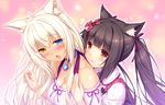  2girls animal_ears bicolored_eyes blonde_hair blush bow breasts brown_eyes brown_hair cat_smile catgirl chocola_(sayori) coconut_(sayori) collar game_cg hug long_hair nekopara ribbons sayori twintails 