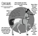 ambiguous_gender black_and_white bridle centaur english_text equid equid_taur equine equine_taur gag gagged hair hair_bun harness herm hooves horse horse_taur humanoid_taur intersex leash leg_markings mammal mammal_taur markings monochrome puppetmaster13uwu reference_guide riding_harness snowcap_(marking) socks_(marking) solo tail taur text